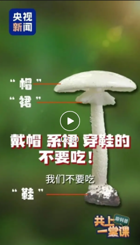 һ���ʵ�üë��һ��Ҳ����������Ұ���������ԲŰ�ȫ